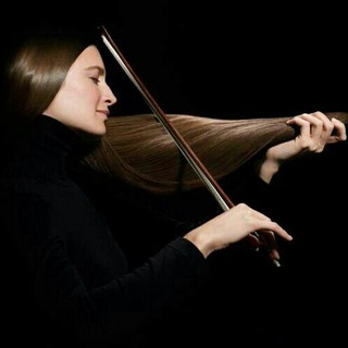 Telegram profile photo for Violin teaching