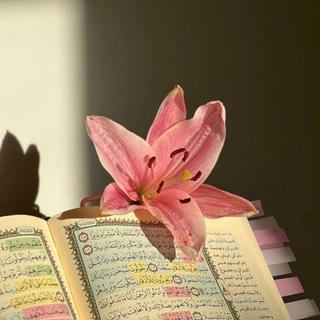 Telegram profile photo for القران الكريم