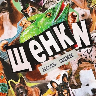 Telegram profile photo for киратесли