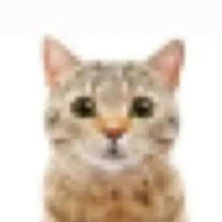 Telegram profile photo for Memes de mierda jpg. 😎👊