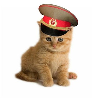 Telegram profile photo for Майор Феня❕
