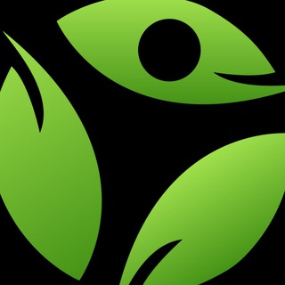 Telegram profile photo for Фитнес-студия «КИНЕТИКА»
