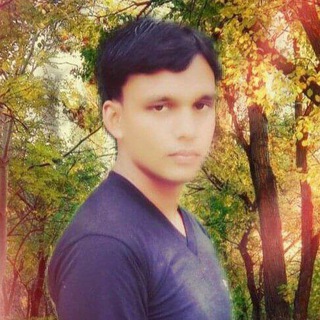 Telegram profile photo for LM technical