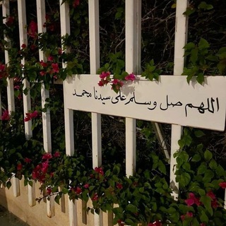 Telegram profile photo for ليطمئن قلبك. ✶