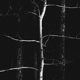 Telegram profile photo for Enigma. II‘ Soul- of DEATH OATH.