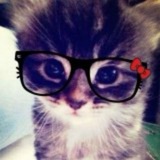 Telegram profile photo for alivetilleve