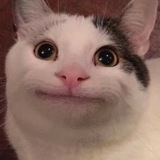Telegram profile photo for PωSSY₊˚ꜱʜᴇʀ