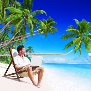 Telegram profile photo for MoneyMaster