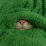 Telegram profile photo for реклама в одеялке 🧃⋆˚࿔
