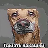 Telegram profile photo for егор с гор