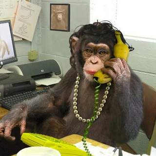 Telegram group profile photo for Russian Ape Chat