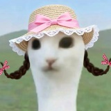 Telegram profile photo for 搞笑|吃瓜|内涵段子