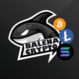 Telegram profile photo for BALENA CRYPTO🐋
