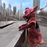 Telegram profile photo for Redyote Adventure!