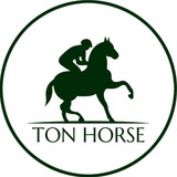 Telegram profile photo for TON HORSE