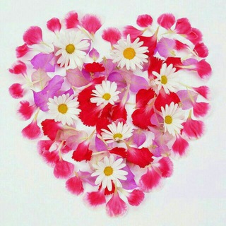 Telegram profile photo for تمرین عشق