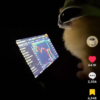 Telegram profile photo for Kori The Pom