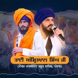 Telegram profile photo for Team Bhai Amritpal Singh Khalsa Ji
