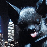 Telegram profile photo for Online Lipnem
