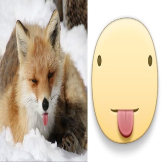 Telegram profile photo for адопты Хекс