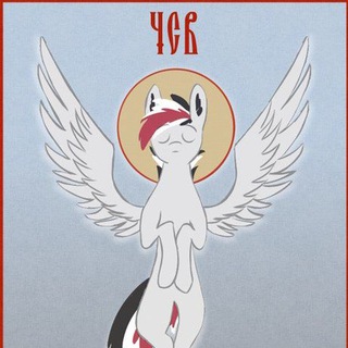 Telegram profile photo for Damiyan & Co