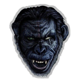 Telegram profile photo for Project