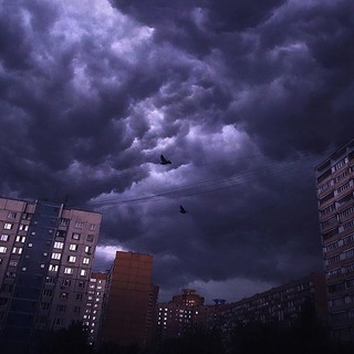 Telegram profile photo for Каменные джунгли