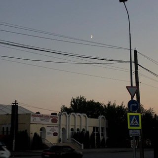 Telegram profile photo for Местная суета🫡