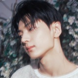 Telegram profile photo for mr 쫑양이 / closed