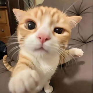 Telegram group profile photo for 🙂