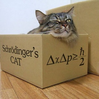 Telegram profile photo for La scatola di Schrödinger