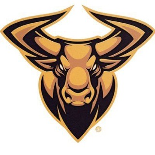Telegram profile photo for GaurToken Finance