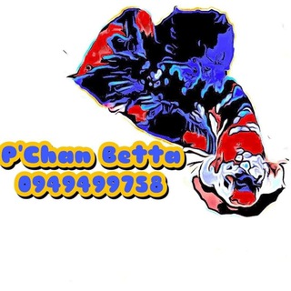 Telegram profile photo for 🇹🇭🇹🇭PeeChanBetta Auction group👍👍👍🇹🇭🇹🇭