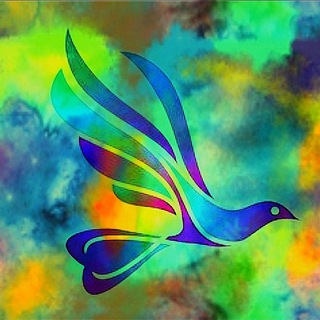 Telegram profile photo for Glide with the Wind 🌾🦅