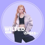 Telegram profile photo for wilted roses