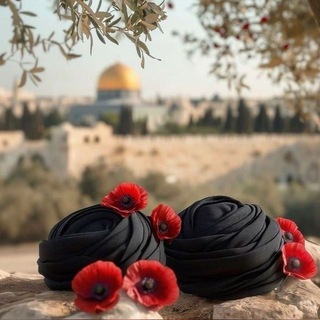 Telegram profile photo for منظمة بدر _الرصافة الثانية