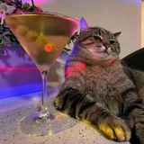 Telegram profile photo for Отзывы липтона