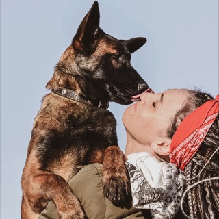 Telegram group profile photo for Онлайн проект «Школа щенка»