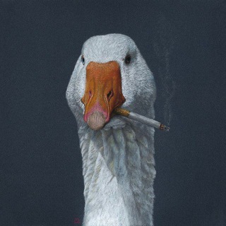 Telegram profile photo for Wine and ducks