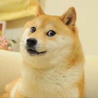 Telegram profile photo for ميمز مندي memes