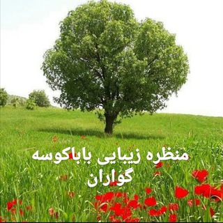 Telegram profile photo for کانال دالاهو | Dalaho👇🏻👇🏻