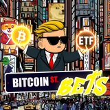 Telegram profile photo for BitcoinStreetBets Portal