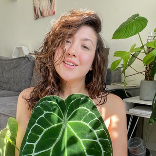 Telegram profile photo for Planty Chloe