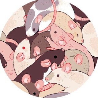 Telegram profile photo for büchermaus