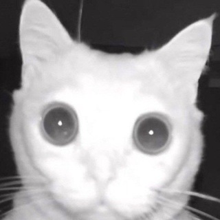 Telegram profile photo for кварцевание