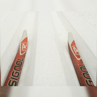 Telegram profile photo for На 25-м километре ❄️