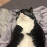 Telegram profile photo for Чиждроп.JPEG