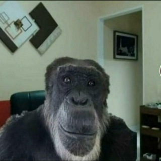 Telegram profile photo for НЕГР