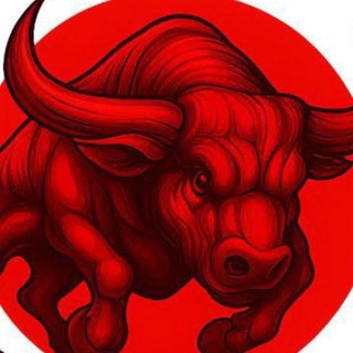 Telegram profile photo for πΌπ°π³πΌπ°ππ²π°π»π»β’οΈ