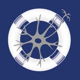 Telegram profile photo for НЕЙРОКРУГ